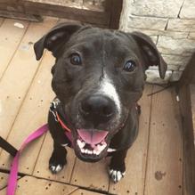 BoomerJacks restaurant view 5