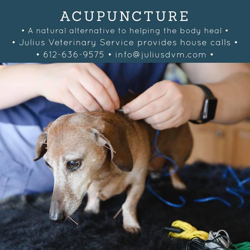 Pet Friendly Julius Rehabilitation & Integrative Veterinary Services