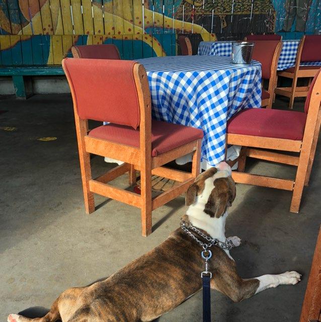 Hieronymus Seafood Restaurant restaurant view 4