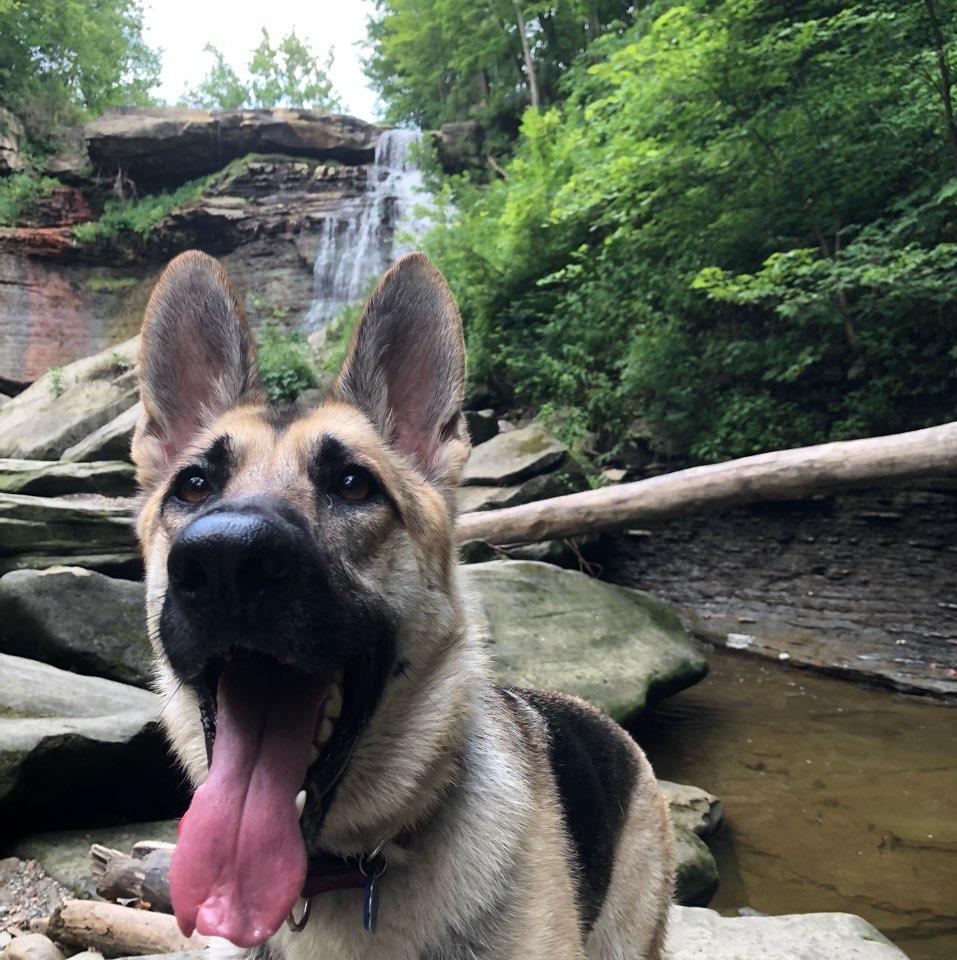 Brandywine Falls