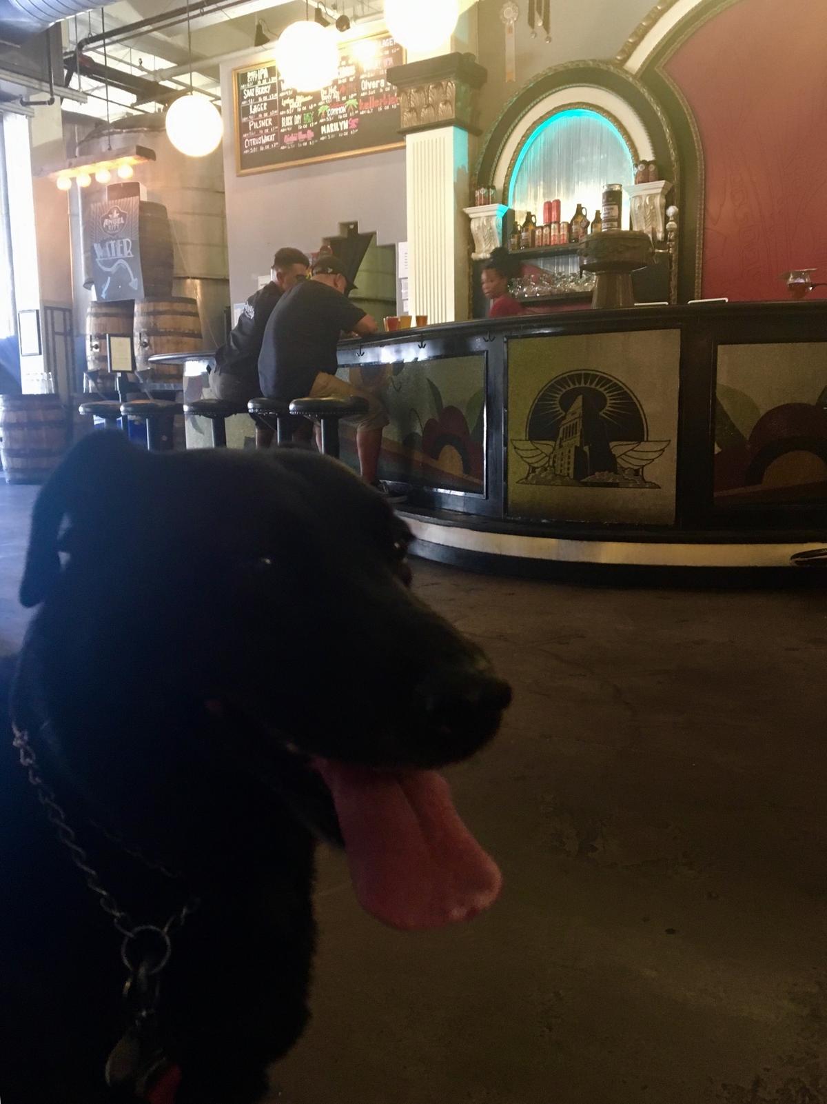 Angel City Brewery restaurant view 2