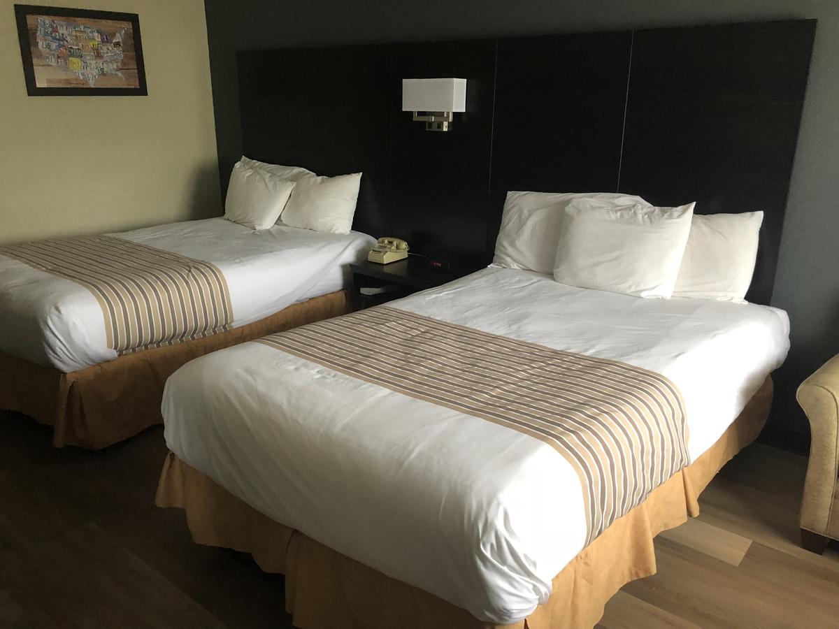Pet Friendly Room w/ 2 Double Beds