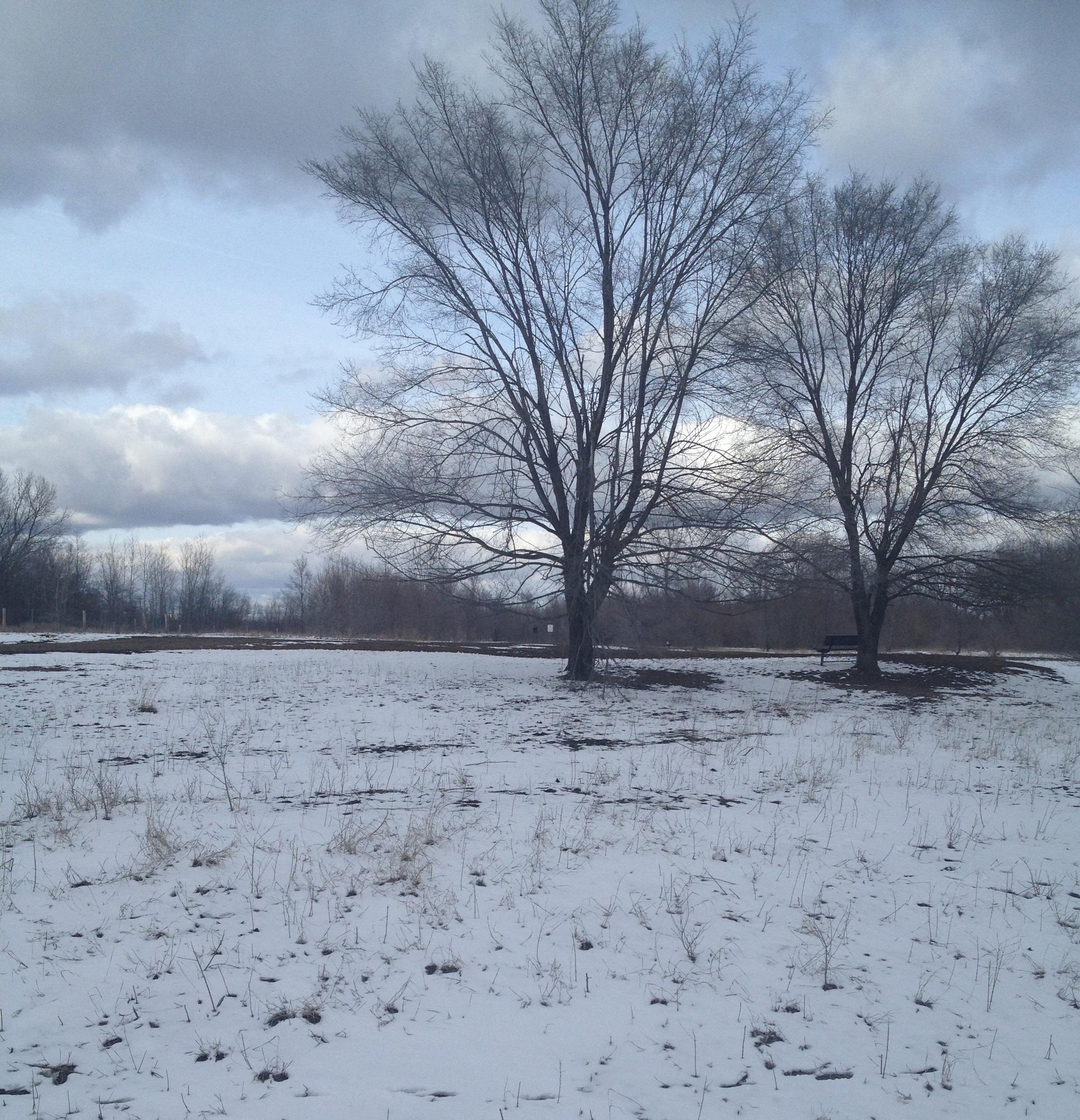 Pet Friendly Raccoon River Dog Park