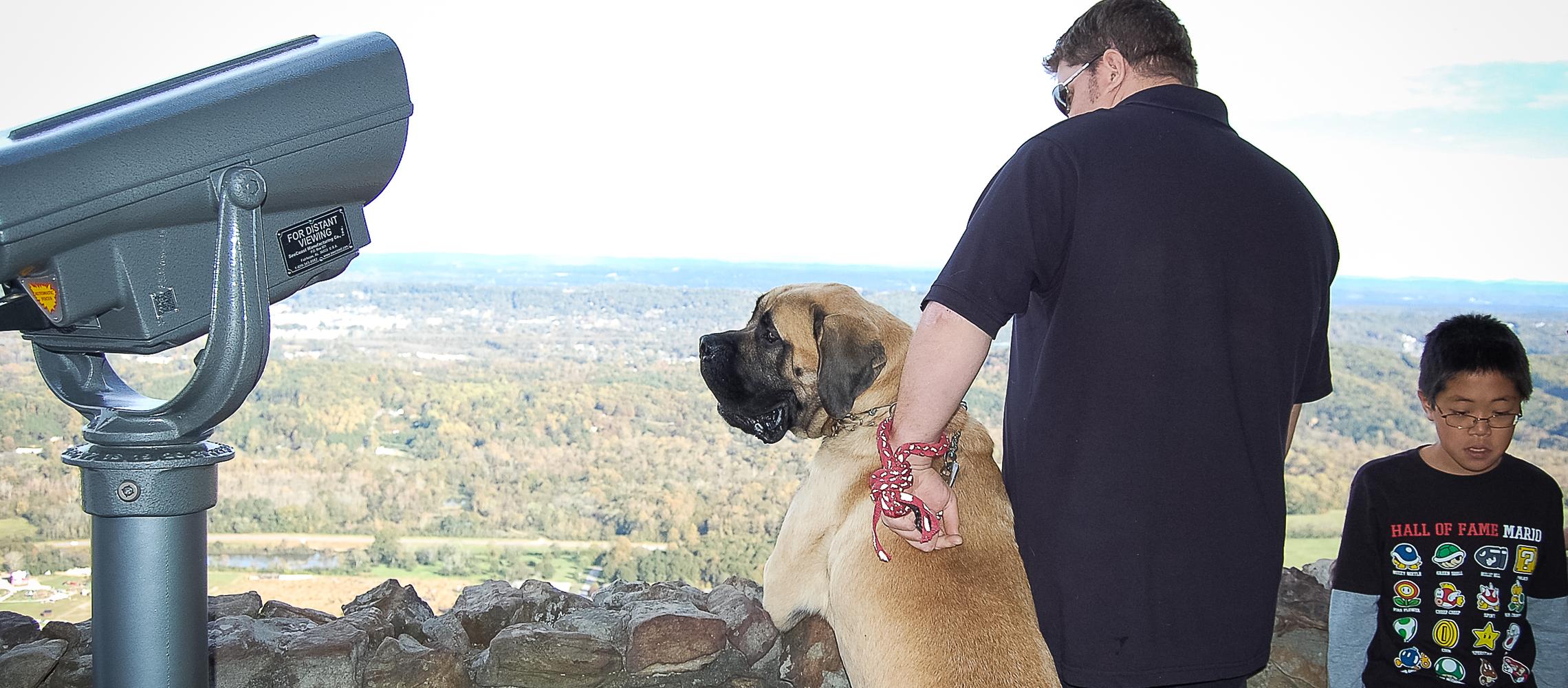 Dog Friendly Lookout Mountain, GA