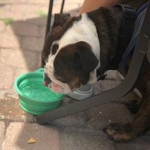 La Margarita restaurant view 1