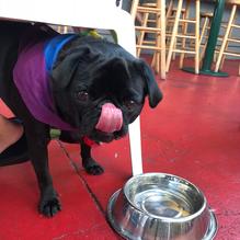 Governor Bradford Restaurant restaurant view 3