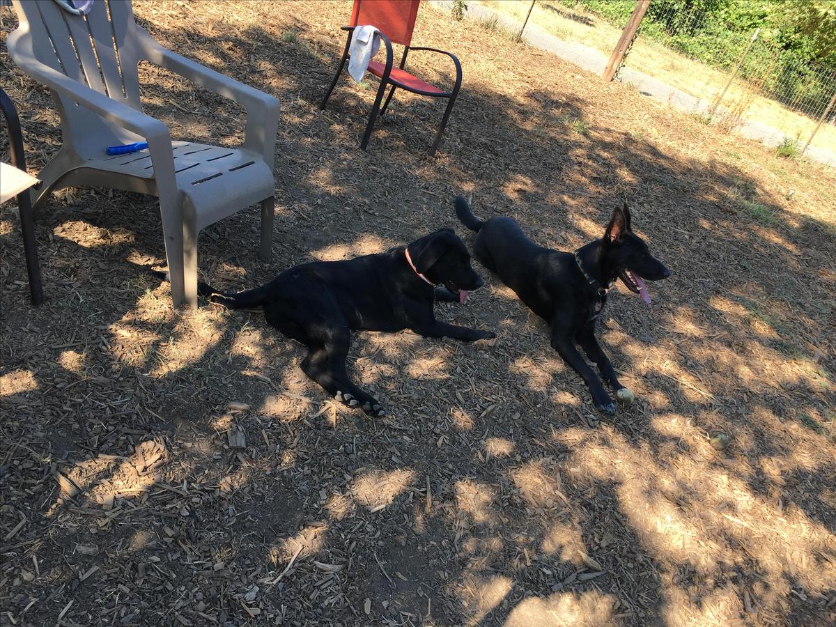 Fun in the sun!