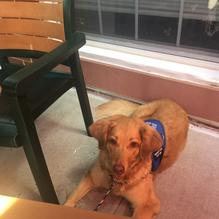 Sunny Day Cafe restaurant view 2