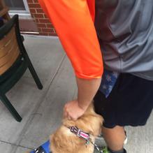 Sunny Day Cafe restaurant view 3