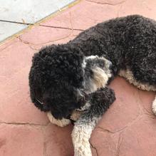 Jim's Burgers & Eggs restaurant view 1