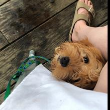 Peter Ott's on the Water restaurant view 5