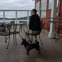 Secret Cove Restaurant restaurant view 3