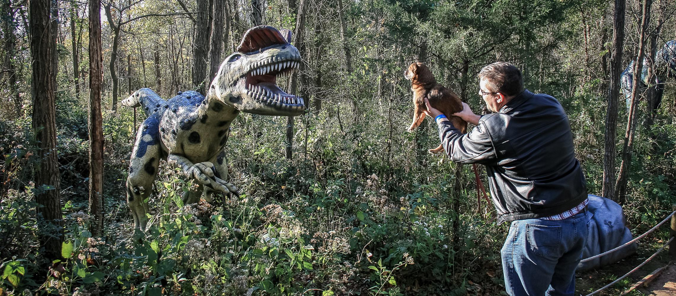 Dog Friendly Cave City, KY