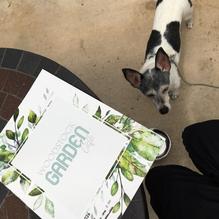 Woodstock Garden Cafe restaurant view 1