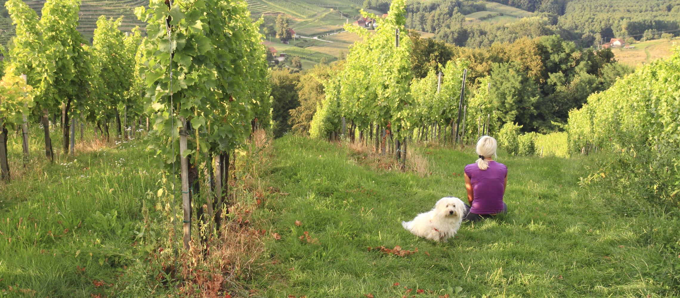 Dog Friendly Slovenia