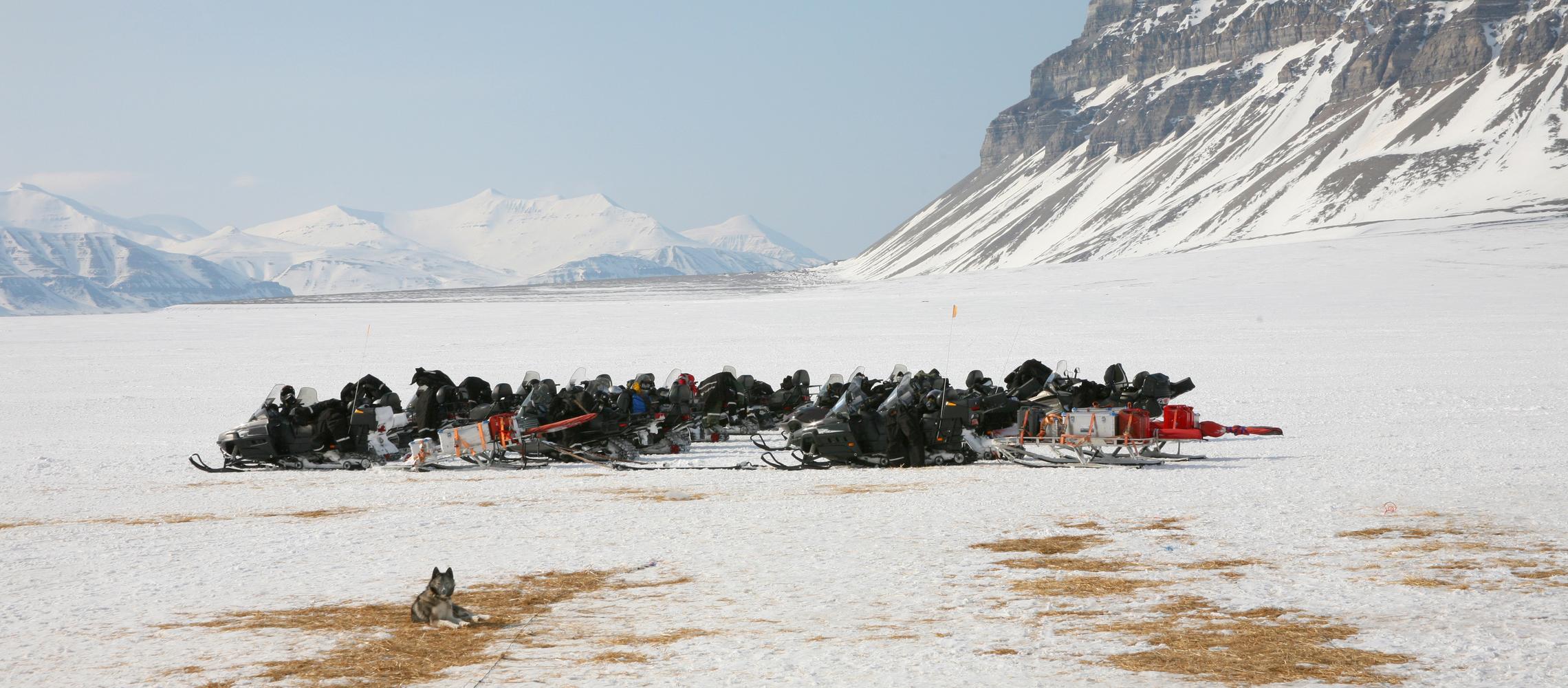 Dog Friendly Svalbard