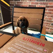 Reginelli's Pizzeria restaurant view 1