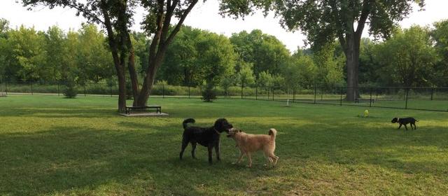 Dog Friendly Hutchinson, MN