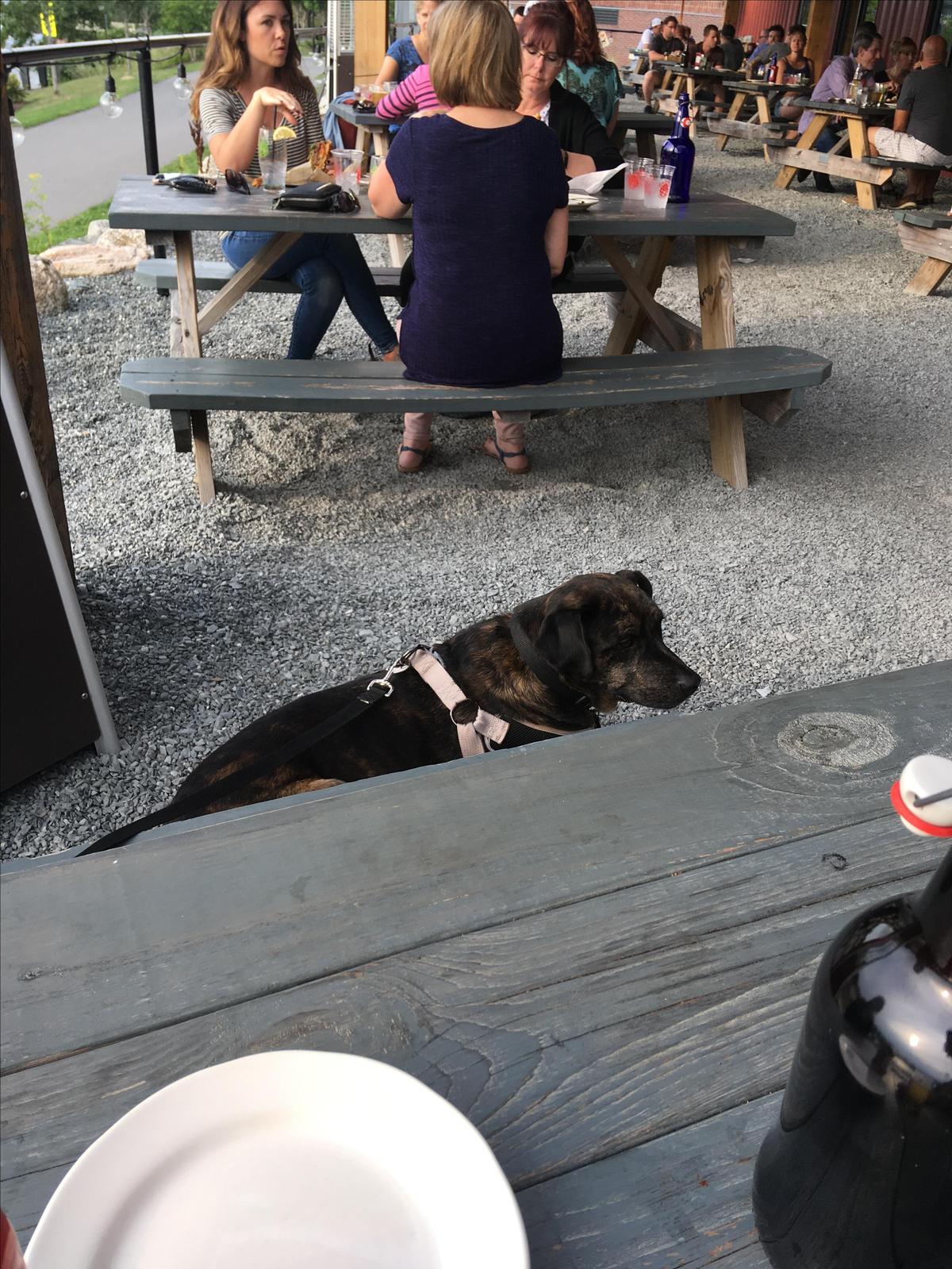 Mason's Brewing Co. restaurant view 12