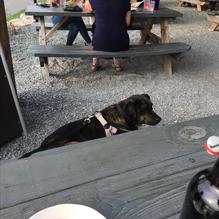 Mason's Brewing Co. restaurant view 12