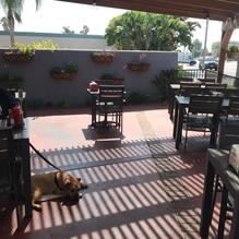 Lomita's Best restaurant view 3