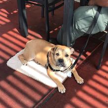 Lomita's Best restaurant view 2