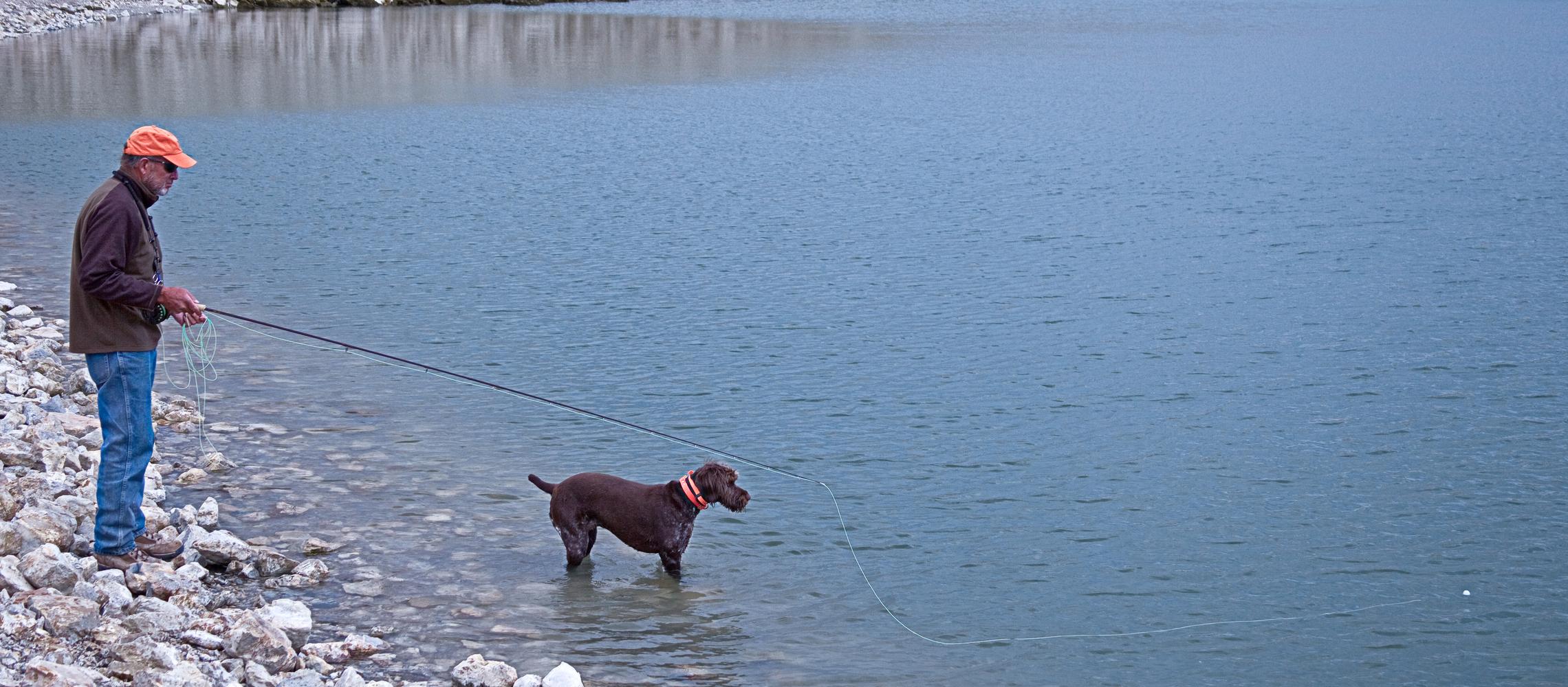 Dog Friendly Dillon, MT