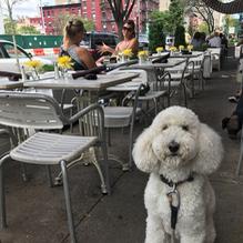 44 & X Hell's Kitchen restaurant view 1