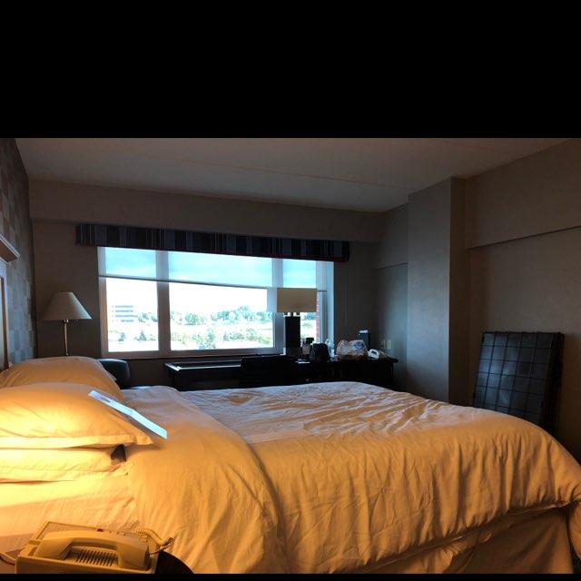 Dog Friendly Erie Pa Bring Fido