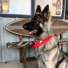 Johnny & Hons Smokehaus restaurant view 1