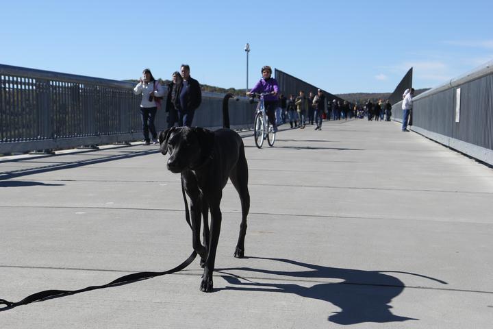 Pet Friendly Walkway Over the Hudson