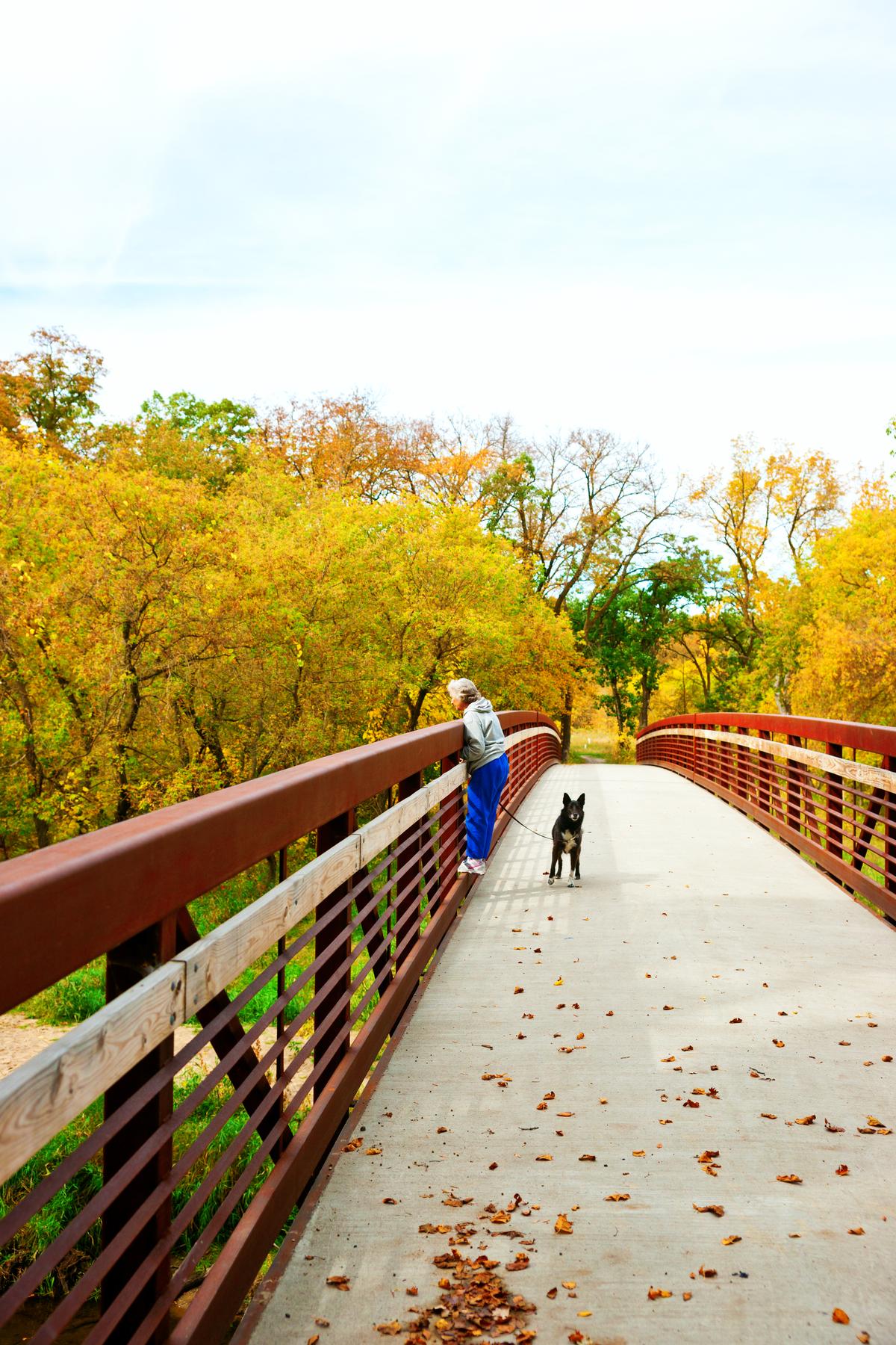 Woman Looks Over a Bridge While Walking Dog