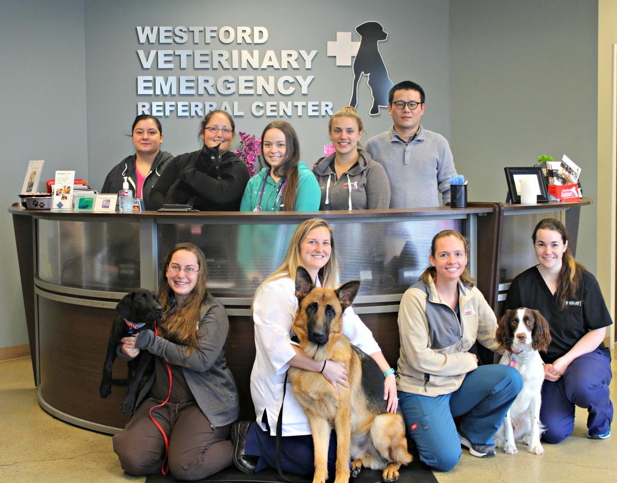 Westford Veterinary Emergency Referral Center