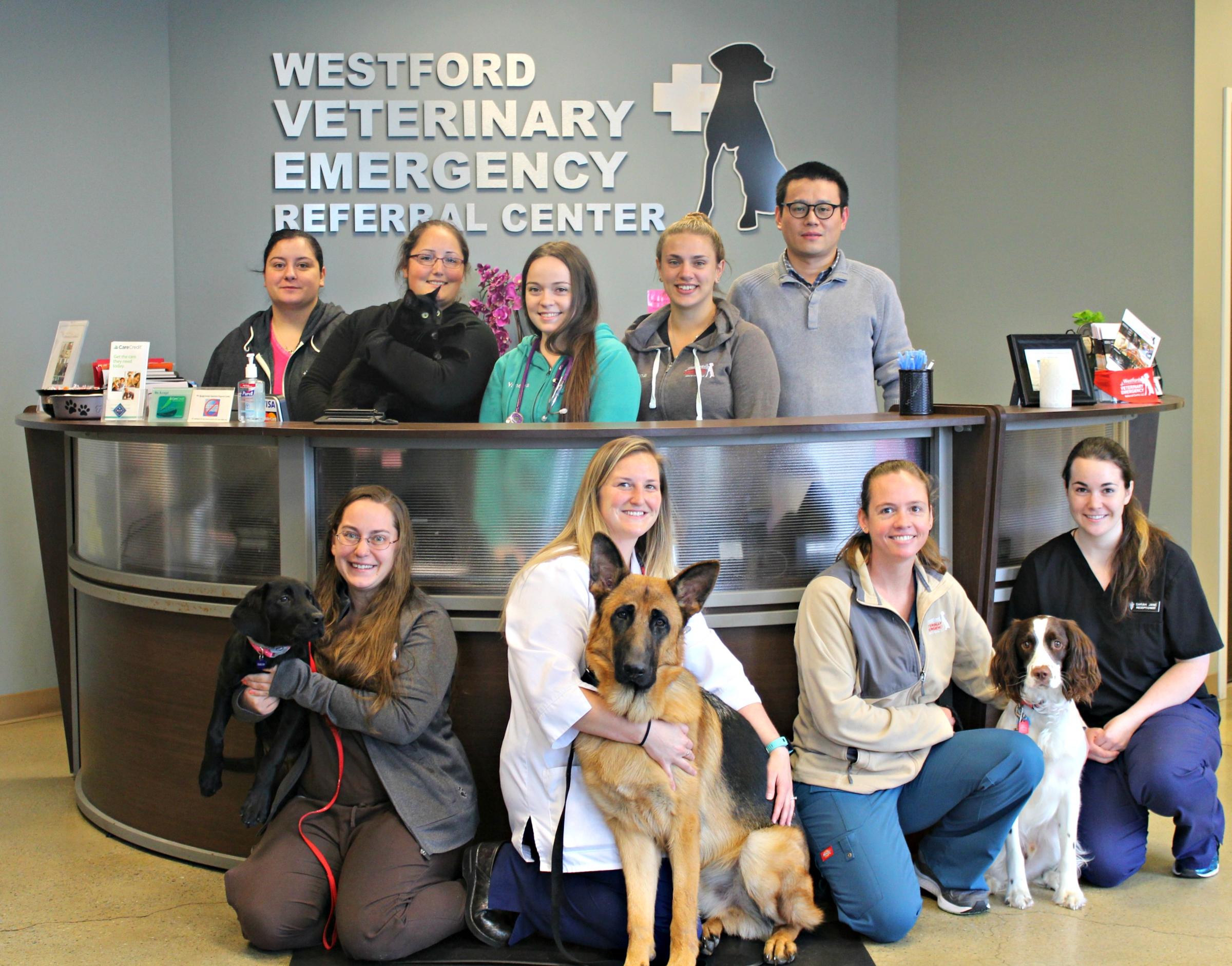 Pet Friendly Westford Veterinary Emergency Referral Center