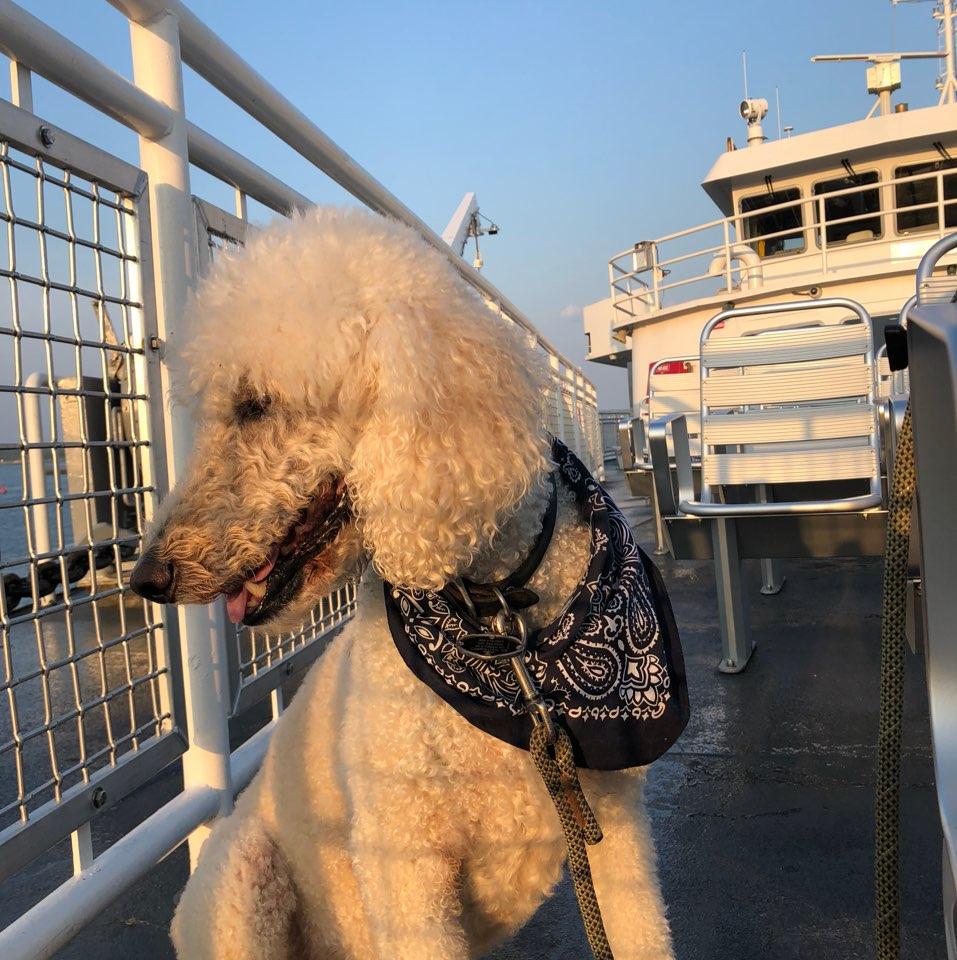Island Queen Ferry