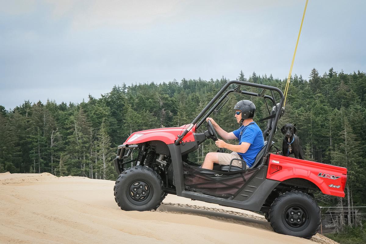 Ace Takes a Dune Buggy Ride ⋆ BringFido