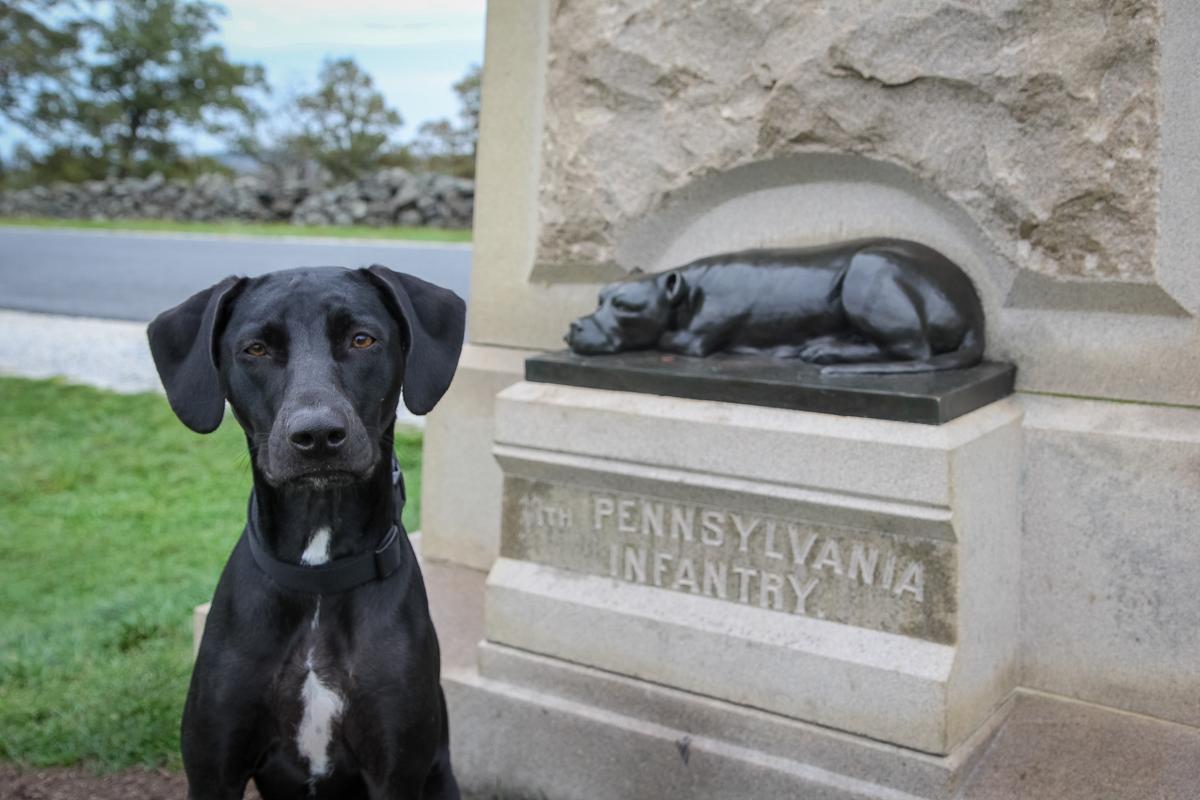 Ace at a Gettysburg Monument