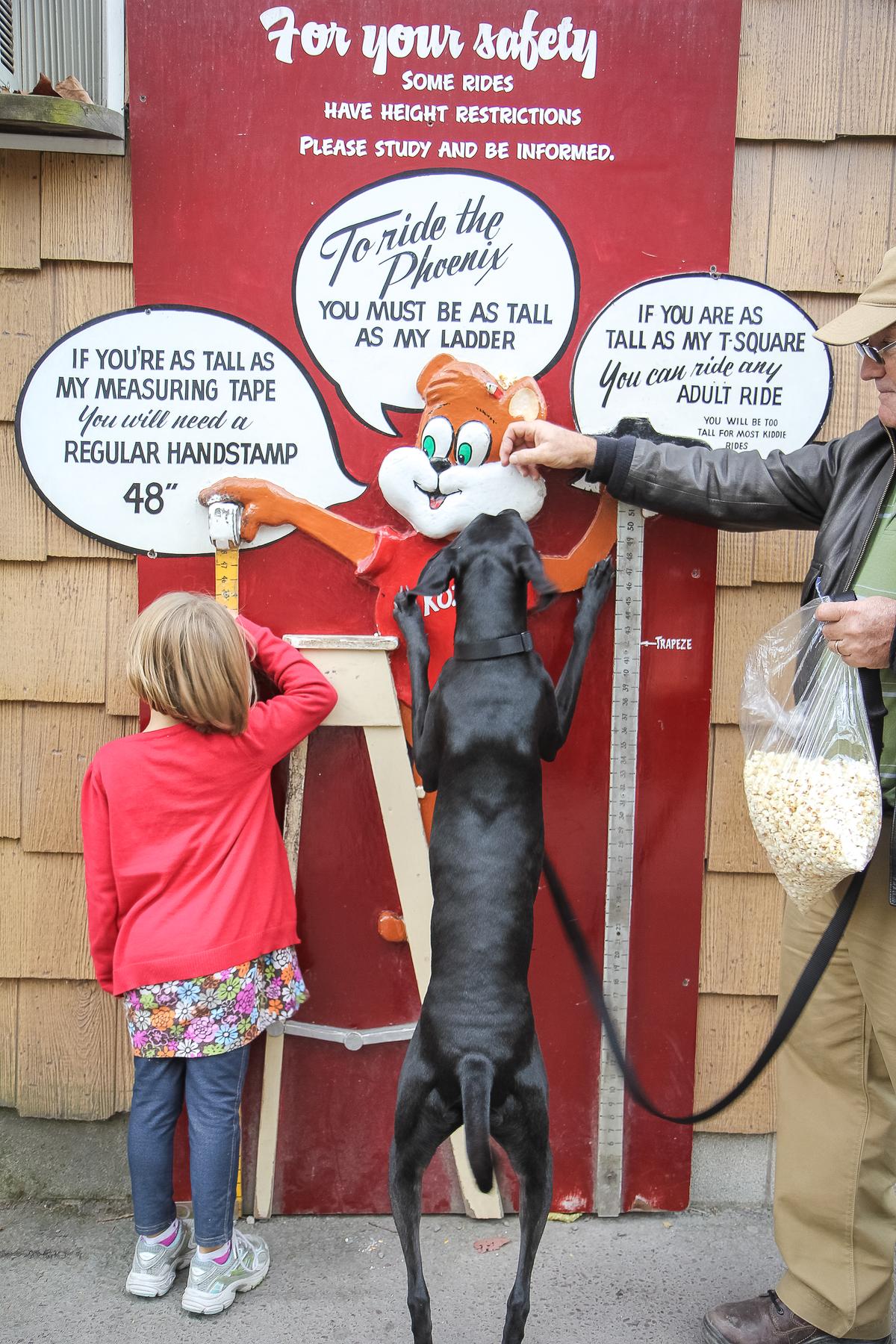Ace Makes Sure He's Tall Enough