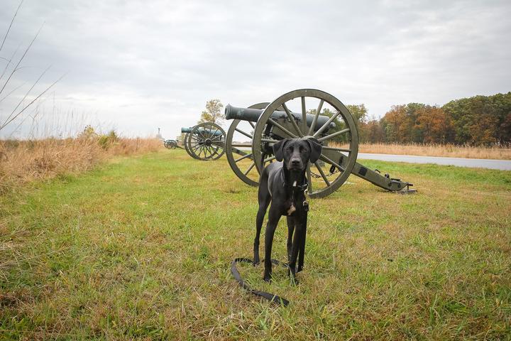 Pet Friendly Gettysburg National Military Park