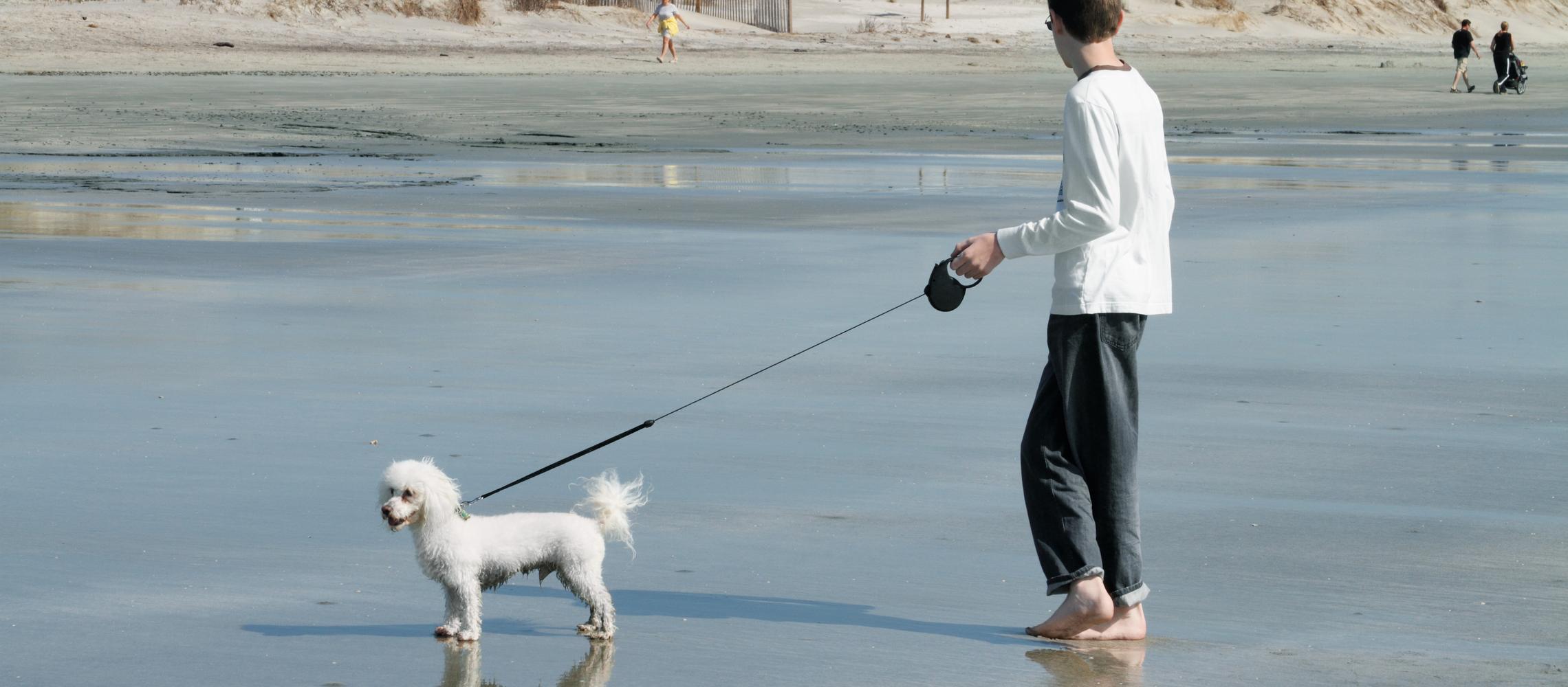 Dog Friendly Seabrook Island, SC