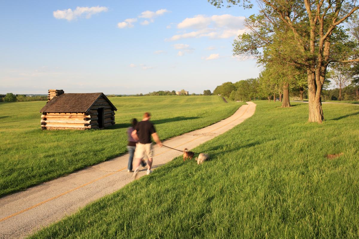 Walking Dogs at Valley Forge