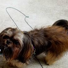 Dorothy 6 restaurant view 5