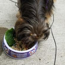 Dorothy 6 restaurant view 4