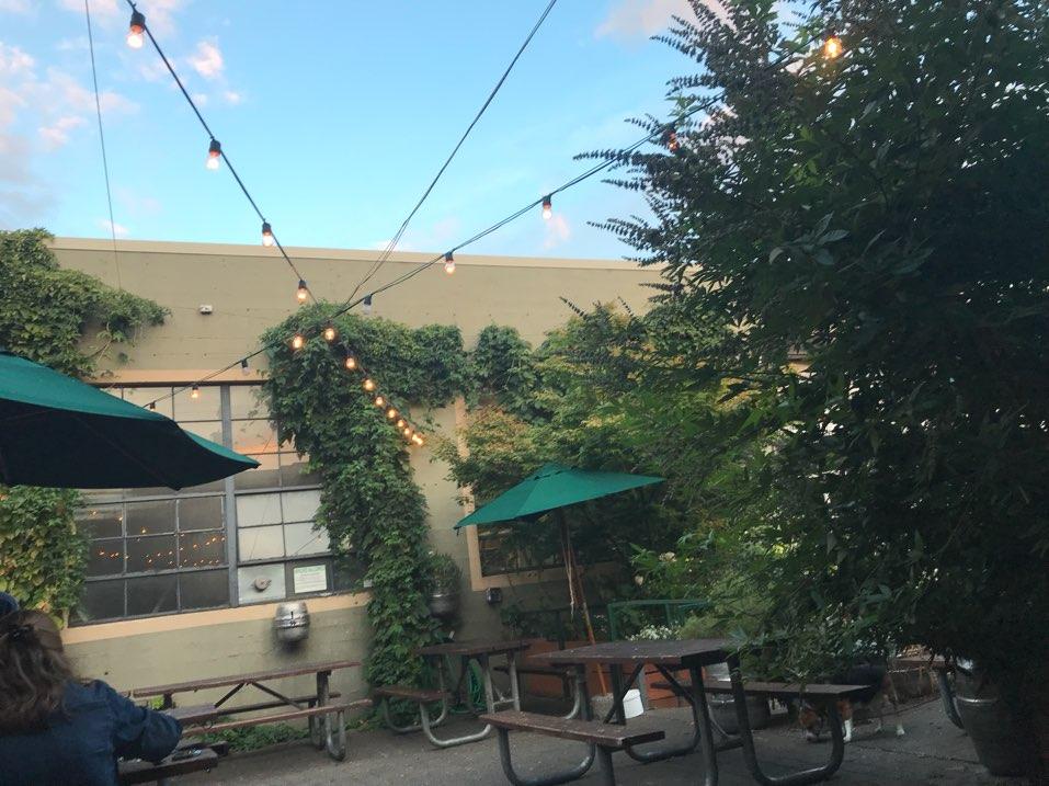 Lucky Labrador Beer Hall restaurant view 1