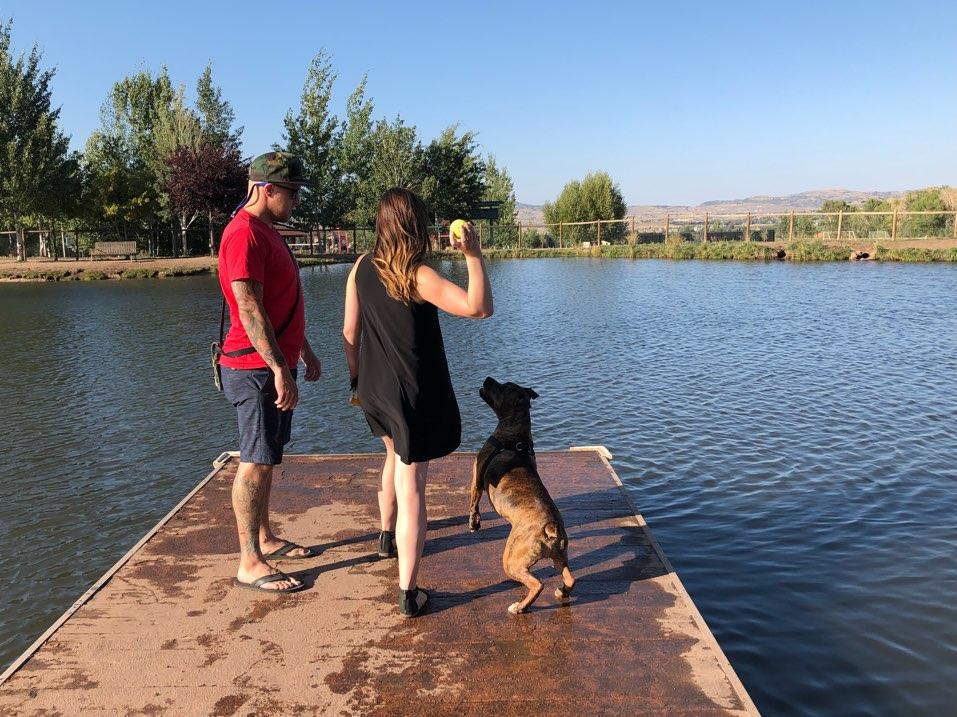 Willow Creek Dog Pond Park City