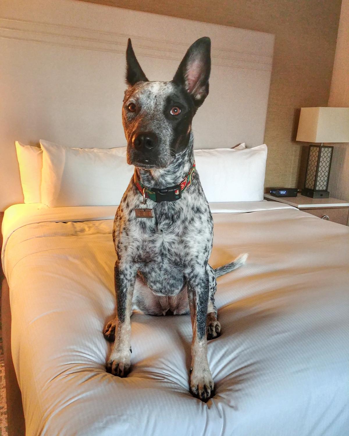 Ready for bed