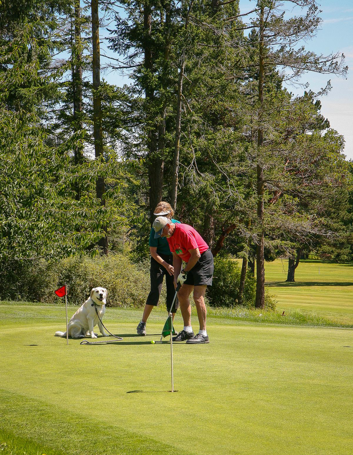 Couple Golfs with Their Dog