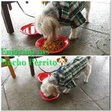 La Esquina Mexican Restaurant restaurant view 4