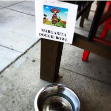 La Esquina Mexican Restaurant restaurant view 2