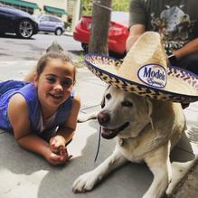 La Esquina Mexican Restaurant restaurant view 1